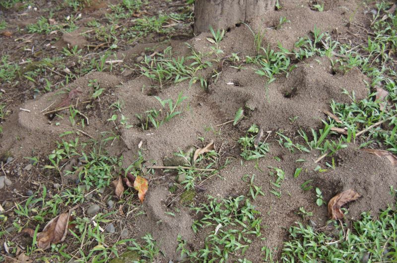 Viewing photos→2016→2016-12-11→005