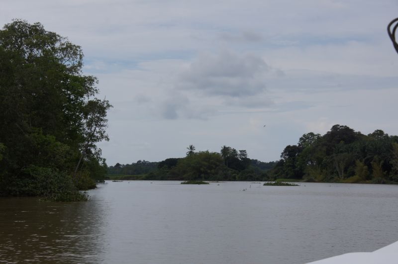 Viewing photos→2016→2016-12-11→010