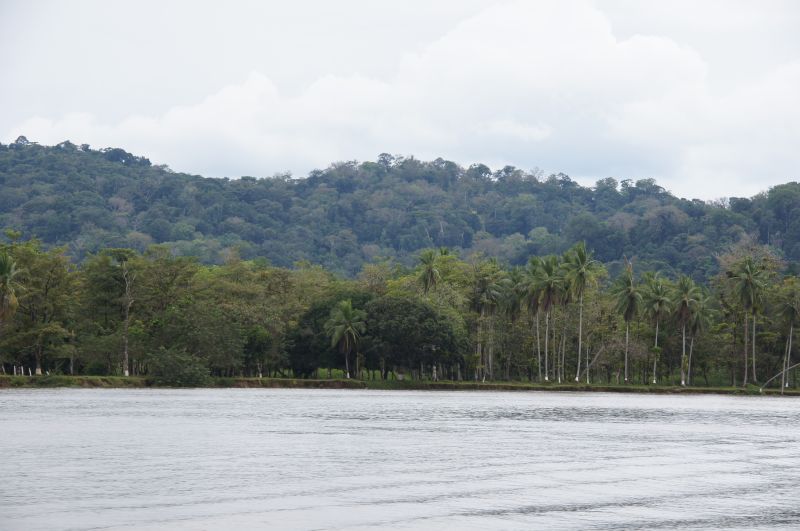 Viewing photos→2016→2016-12-11→014