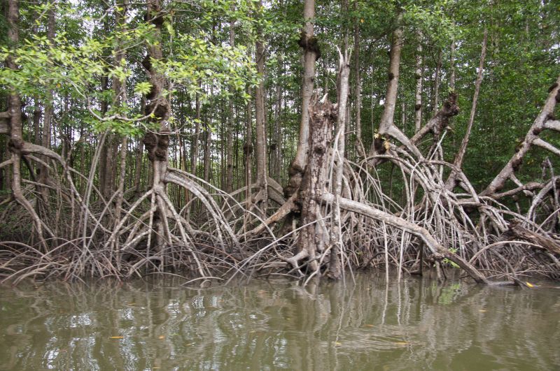 Viewing photos→2016→2016-12-11→019