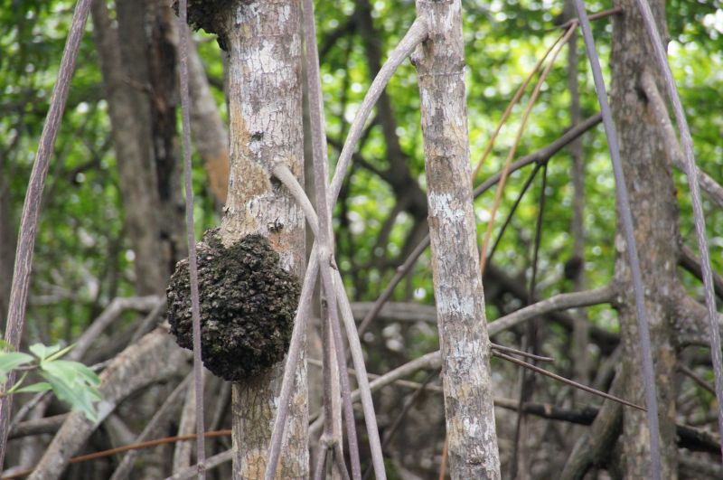 Viewing photos→2016→2016-12-11→021