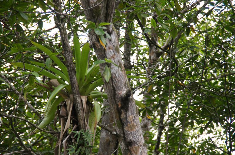 Viewing photos→2016→2016-12-11→022