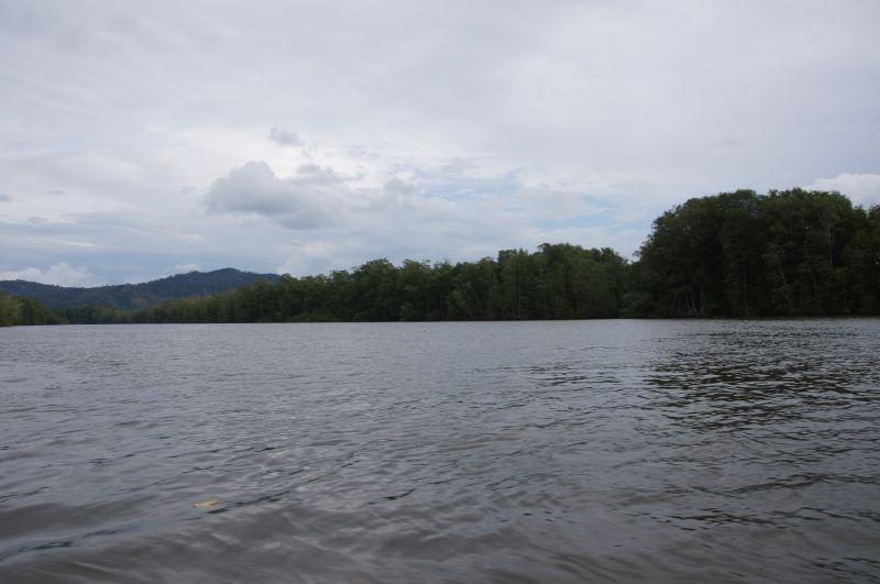 Viewing photos→2016→2016-12-11→024