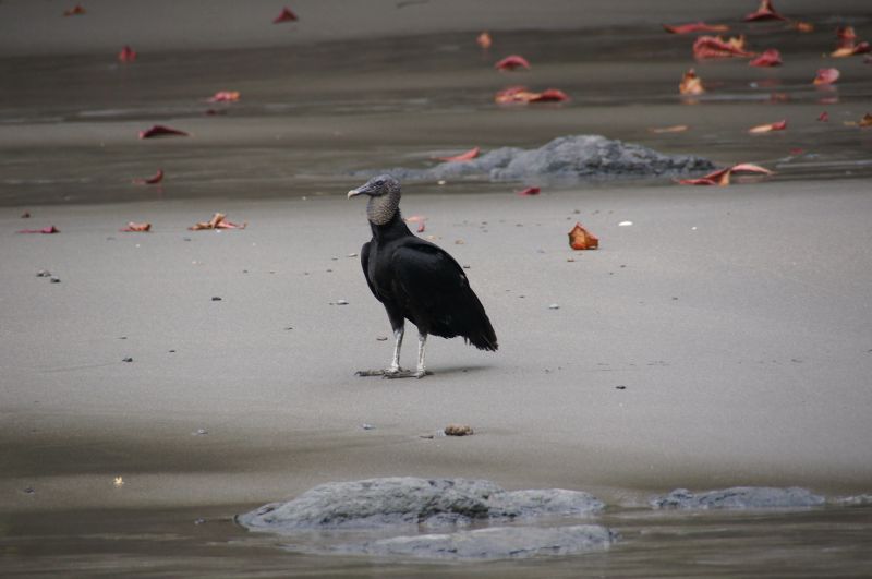 Viewing photos→2016→2016-12-11→041