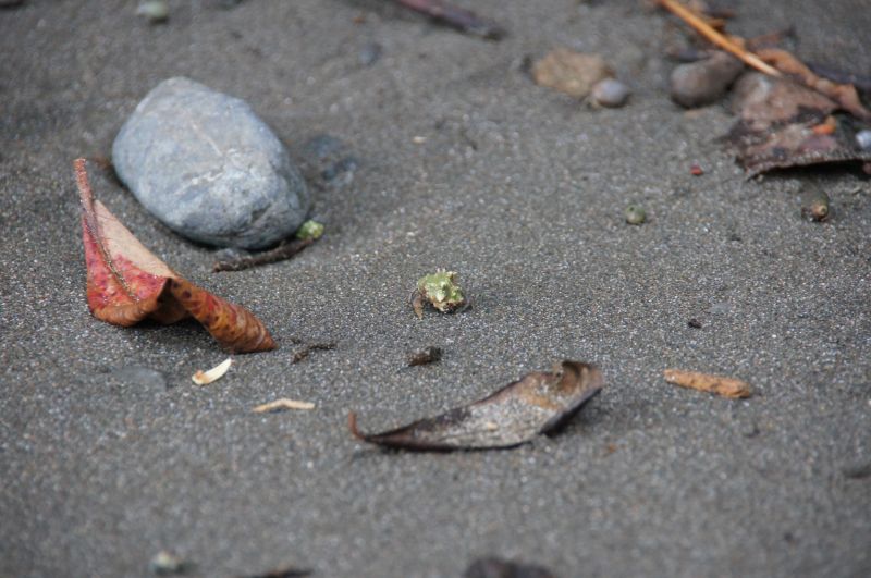 Viewing photos→2016→2016-12-11→046