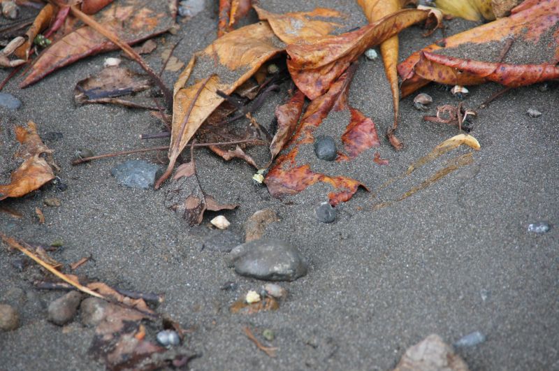 Viewing photos→2016→2016-12-11→047