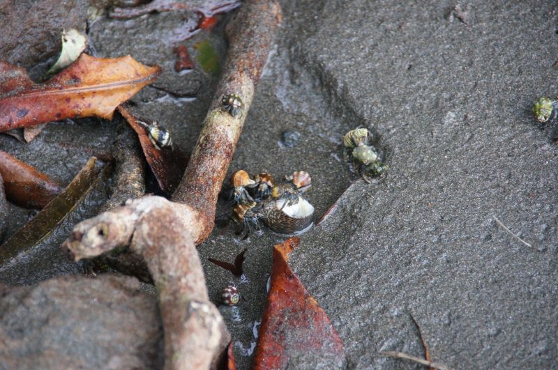 Viewing photos→2016→2016-12-11→050