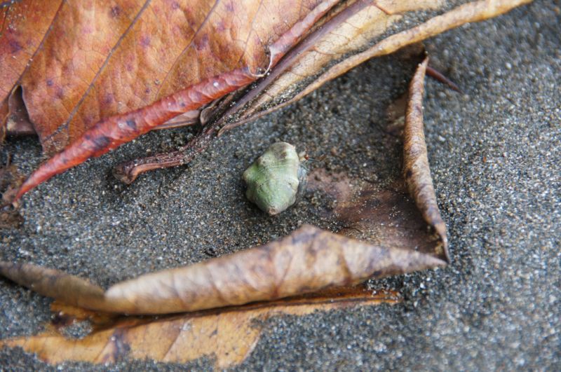 Viewing photos→2016→2016-12-11→052