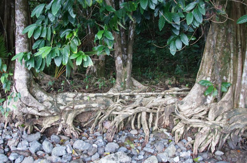 Viewing photos→2016→2016-12-11→054