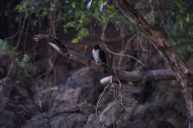 Viewing photos→2016→2016-12-11→060