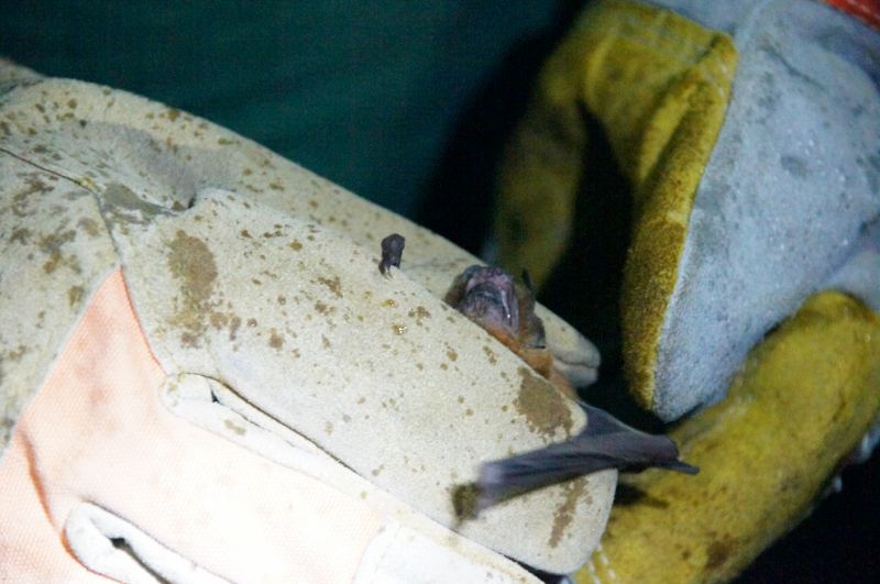 Viewing photos→2016→2016-12-11→063