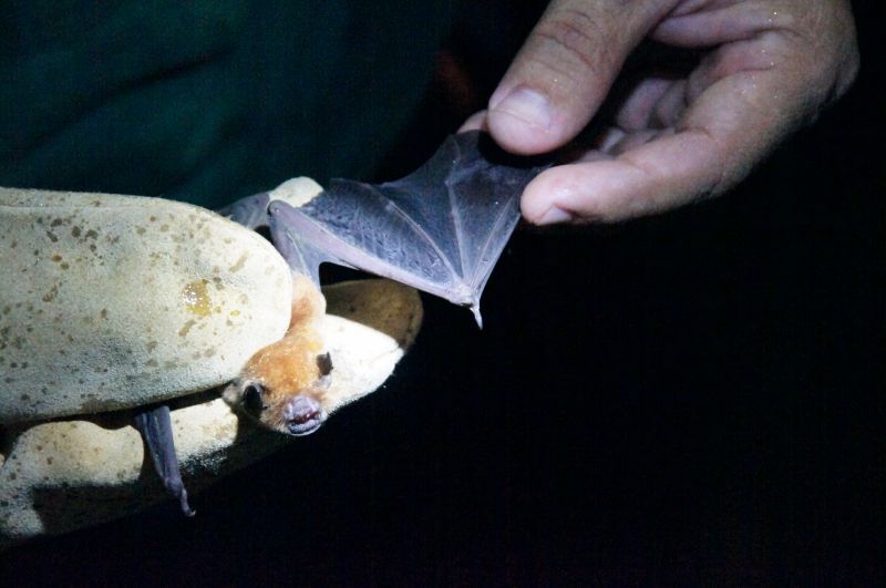 Viewing photos→2016→2016-12-11→065