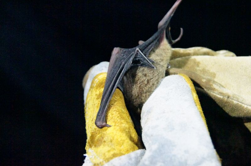 Viewing photos→2016→2016-12-11→069