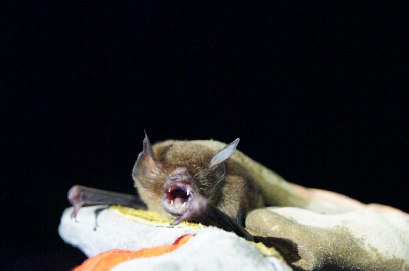 Viewing photos→2016→2016-12-11→072