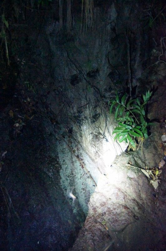 Viewing photos→2016→2016-12-11→076