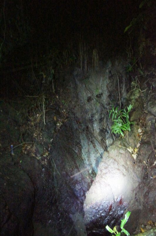 Viewing photos→2016→2016-12-11→077