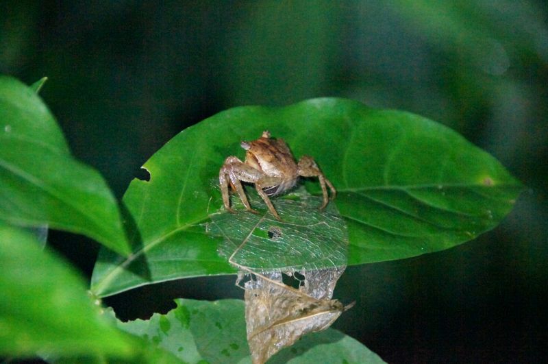 Viewing photos→2016→2016-12-11→078