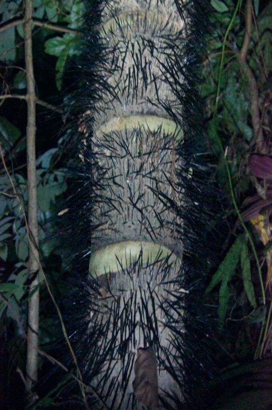 Viewing photos→2016→2016-12-11→085