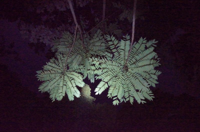 Viewing photos→2016→2016-12-11→087