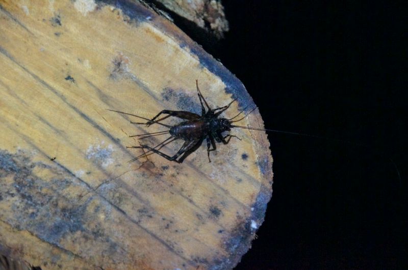 Viewing photos→2016→2016-12-11→088