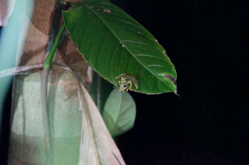 Viewing photos→2016→2016-12-11→089