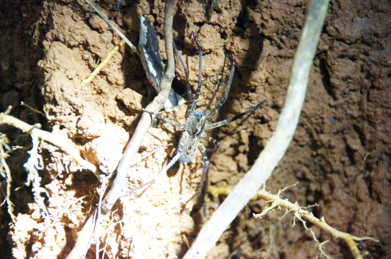 Viewing photos→2016→2016-12-11→092