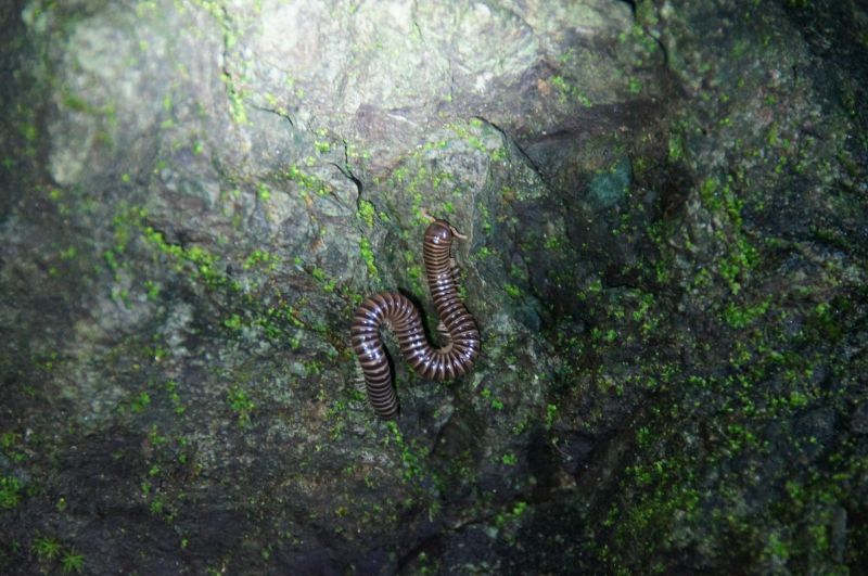 Viewing photos→2016→2016-12-11→095