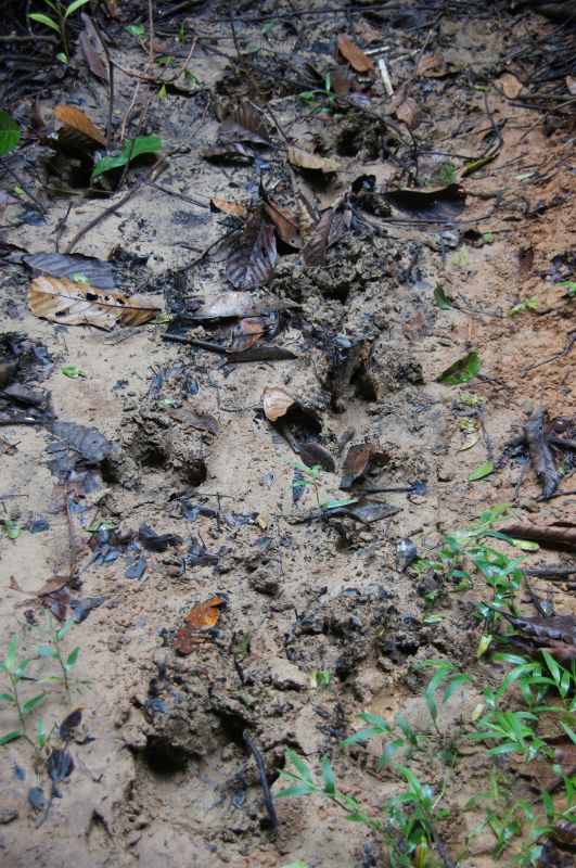 Viewing photos→2016→2016-12-11→101