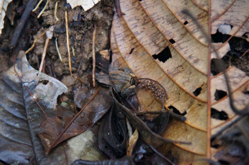 Viewing photos→2016→2016-12-11→105