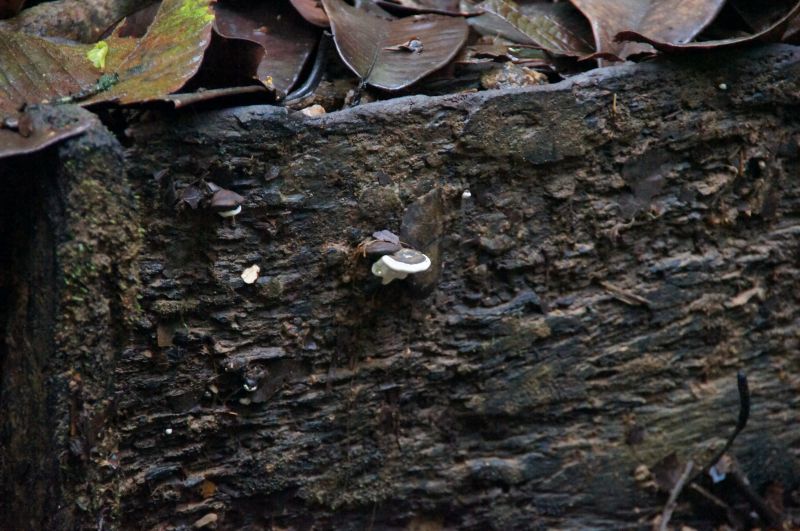 Viewing photos→2016→2016-12-11→110