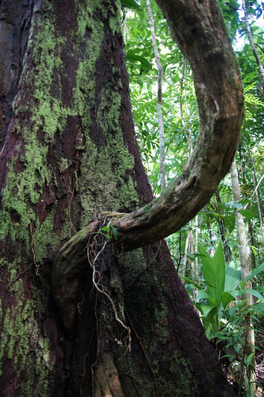 Viewing photos→2016→2016-12-11→118