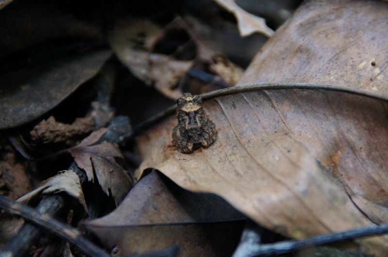 Viewing photos→2016→2016-12-11→121