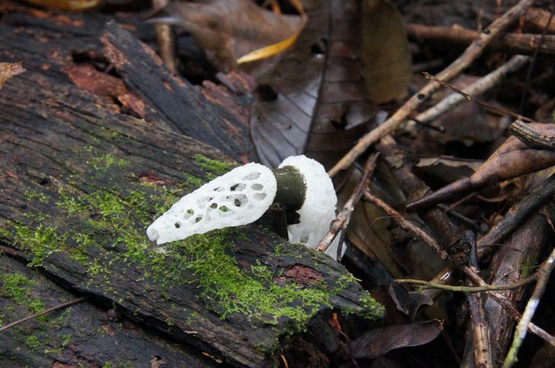 Viewing photos→2016→2016-12-11→123