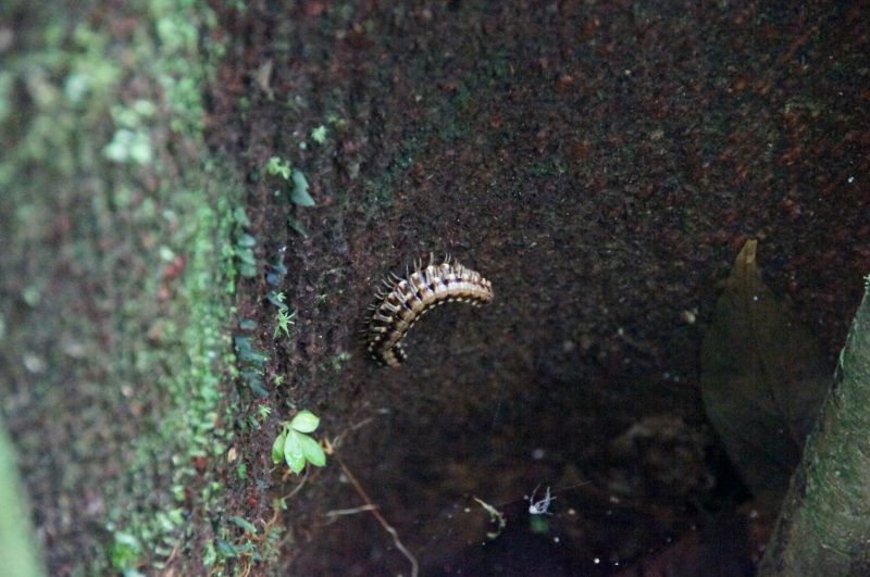 Viewing photos→2016→2016-12-11→125