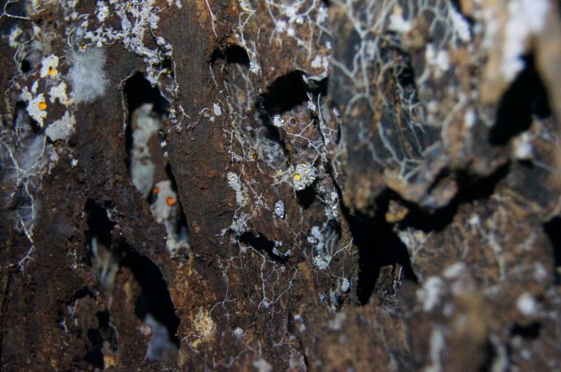 Viewing photos→2016→2016-12-11→129