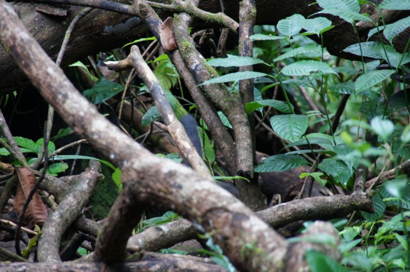 Viewing photos→2016→2016-12-11→139