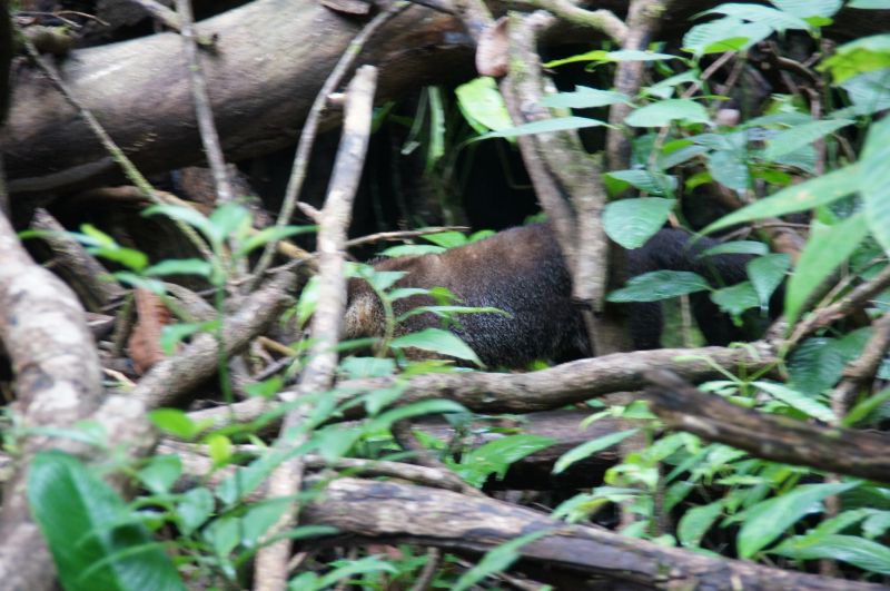 Viewing photos→2016→2016-12-11→140