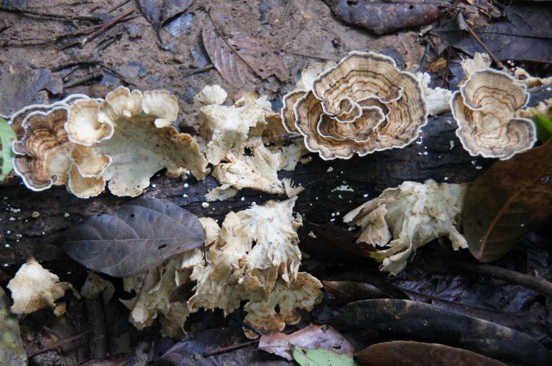 Viewing photos→2016→2016-12-11→148