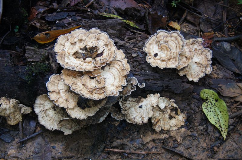 Viewing photos→2016→2016-12-11→151