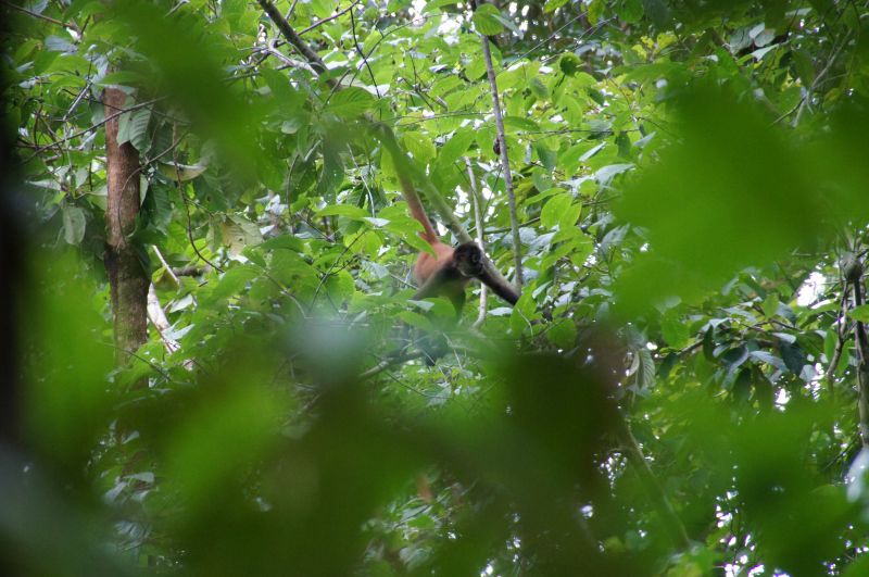 Viewing photos→2016→2016-12-11→154