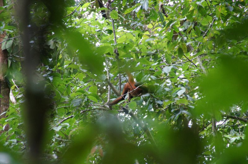 Viewing photos→2016→2016-12-11→155