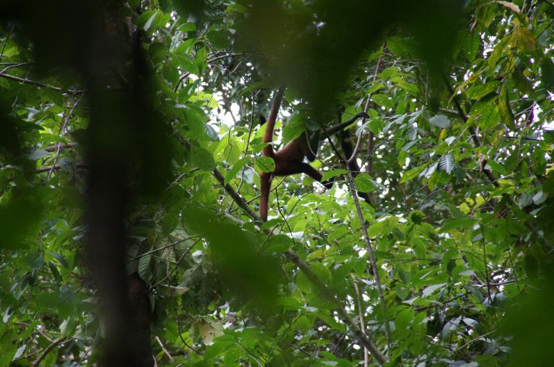 Viewing photos→2016→2016-12-11→159