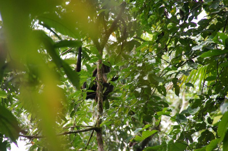 Viewing photos→2016→2016-12-11→161