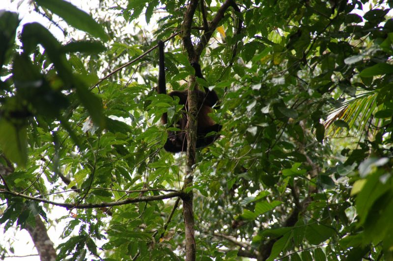 Viewing photos→2016→2016-12-11→163