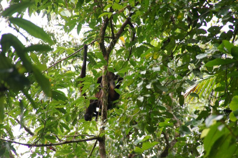 Viewing photos→2016→2016-12-11→164