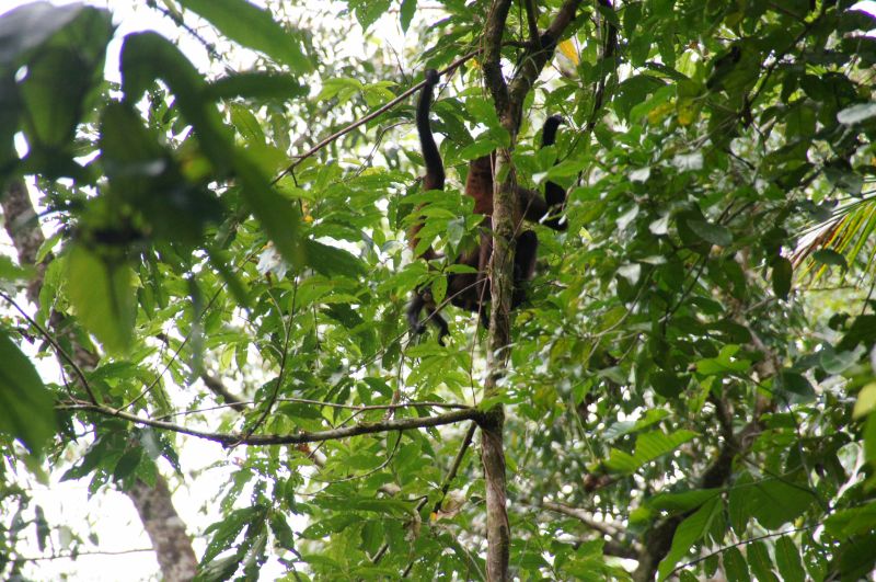 Viewing photos→2016→2016-12-11→165