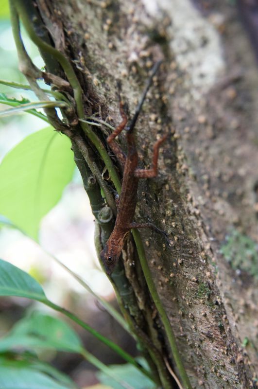 Viewing photos→2016→2016-12-11→172