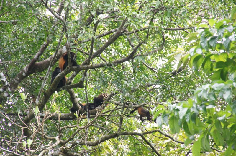 Viewing photos→2016→2016-12-11→193