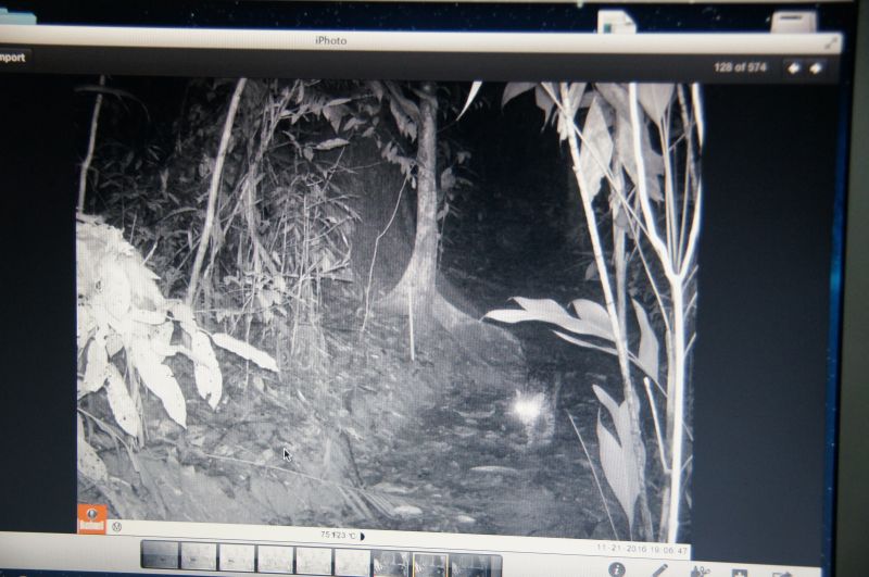 Viewing photos→2016→2016-12-11→209