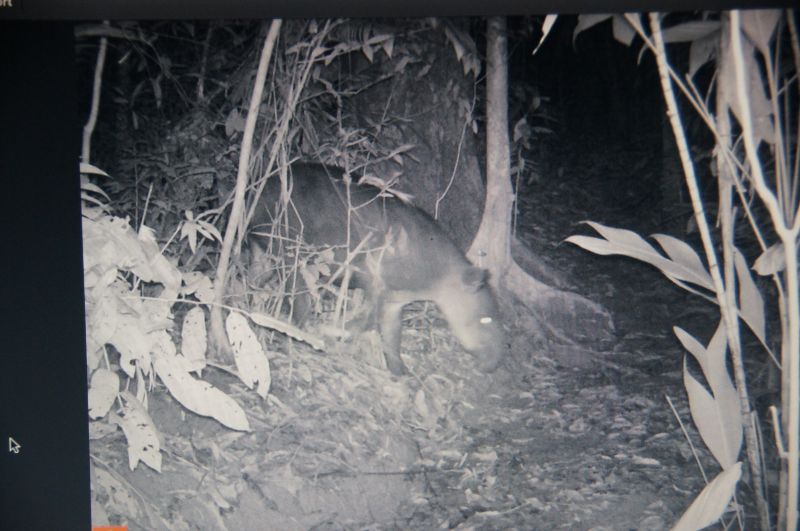 Viewing photos→2016→2016-12-11→210